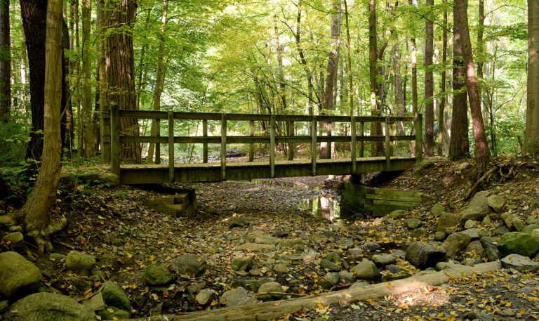 Furnace Run Metro Park