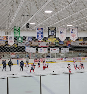 Buffalo Wild Wings Arena