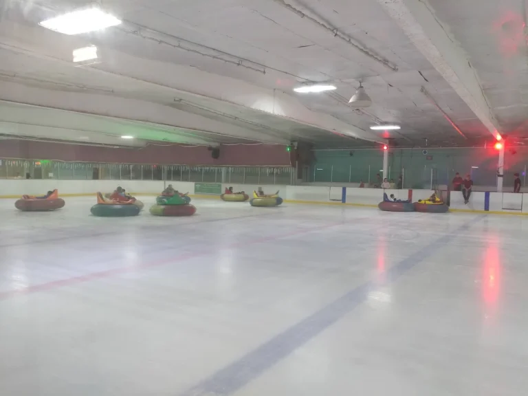 Bumper Cars on Ice Party