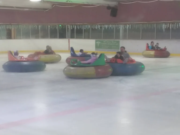 Bumper Cars on Ice Party