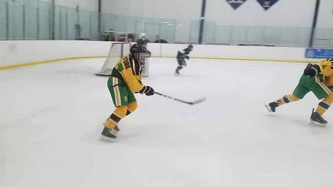 Cadillac Ice Arena