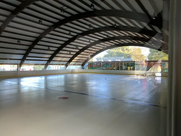 Cass Park, Rink, and Pool
