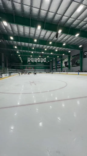 Comerica Center