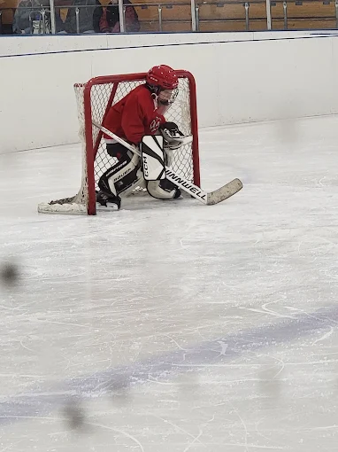 The Ponds of Brookfield Ice Arena