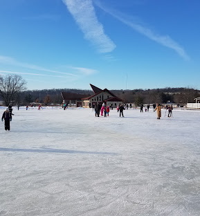 Elver Park Rink
