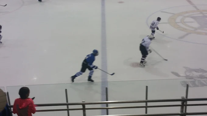 Gallo Arena