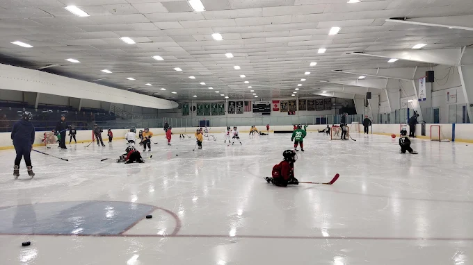 Grosse Pointe Community Ice