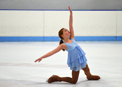 Horgan Skating Arena