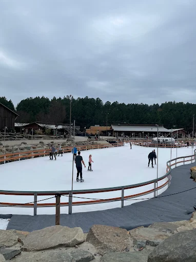 Ice Skating @ USNWC