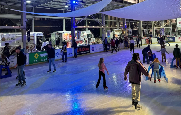 Ice on the Landing (starting November 24)