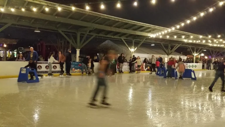 Ice on the Landing (starting November 24)