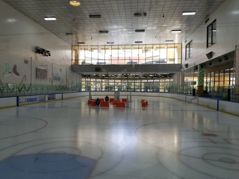 LA Kings Ice