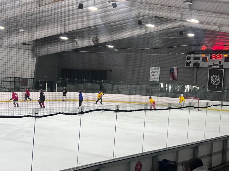 LA Kings Ice at Pickwick Gardens