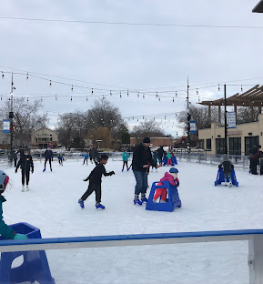 Lake Ridge Bank River Rink