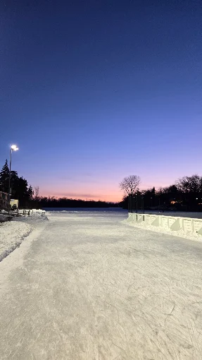 Lake of the Isles Skating Rink