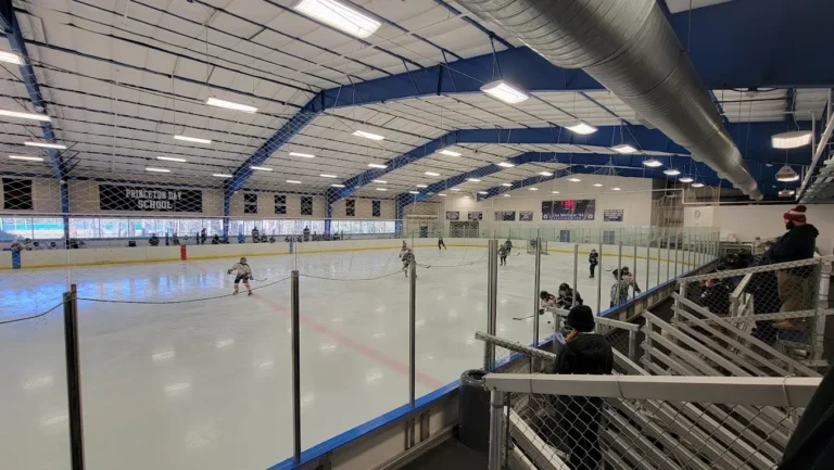 Lisa McGraw Skating Rink