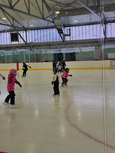 Metropolis Skating Rink