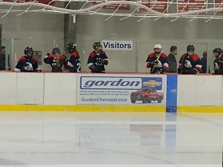 Mike Modano Ice Arena