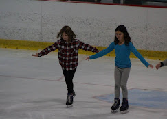 Newbridge Arena