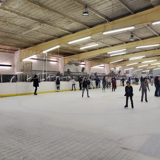 Oak Park Ice Rink