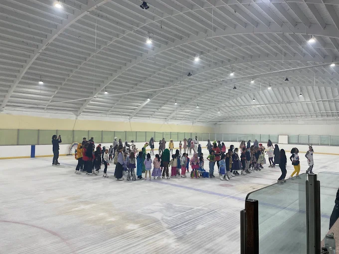 Ontario ice skating