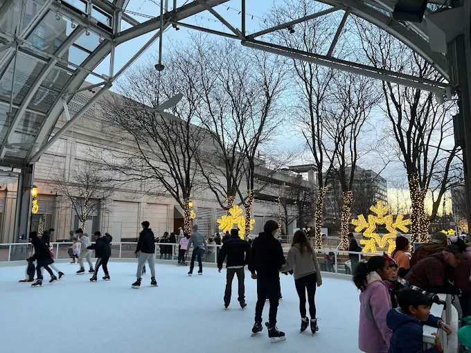 Reston Town Center Ice Skating Pavilion