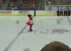 Ronald B. Stafford Ice Arena