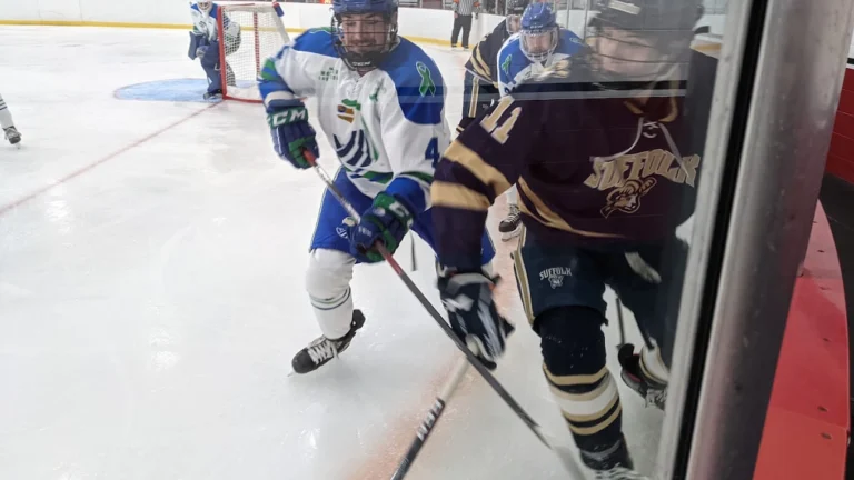 St. George's Ice Rinks