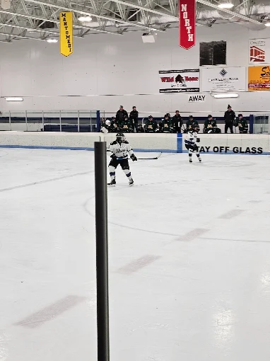 Tartan Arena