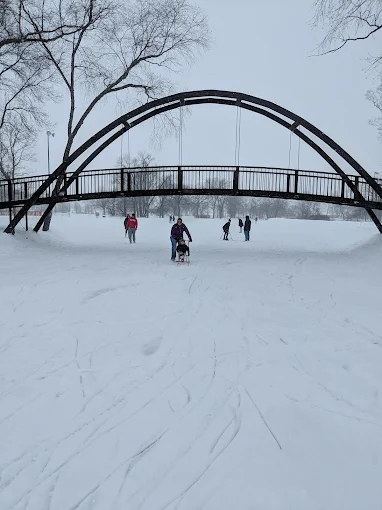 Tenney Park Rink
