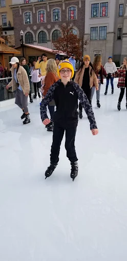 The Ice At Carter Green