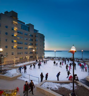 The Ice Rink