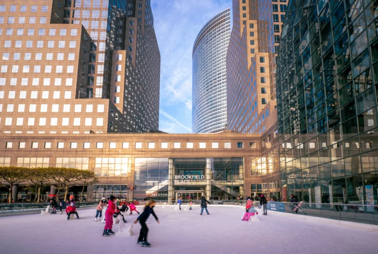 The Rink
