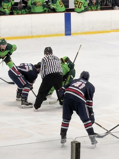 The Rink Battle Creek