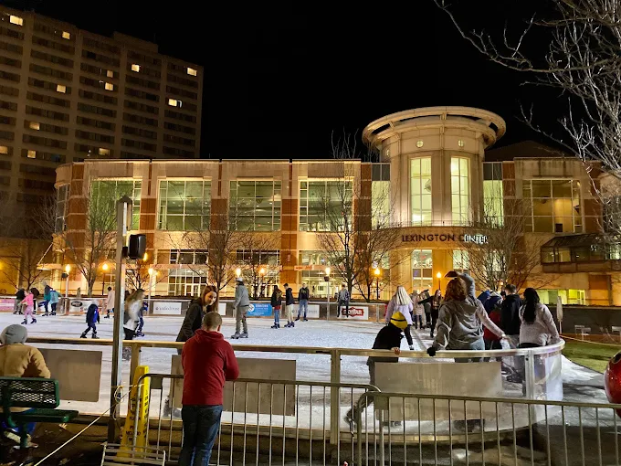 The Rink at Triangle Park