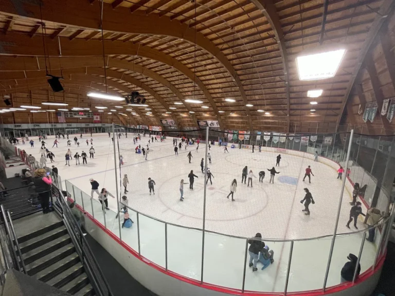 The Rinks Anaheim ICE