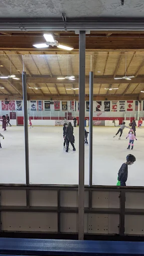 The Skating Edge Ice Arena