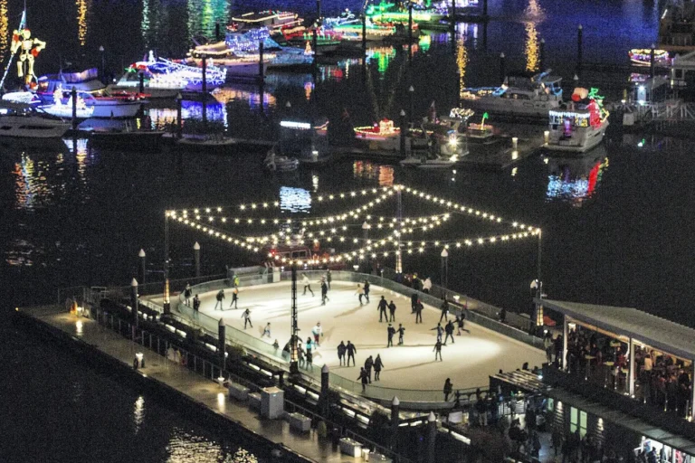 The Wharf Ice Rink