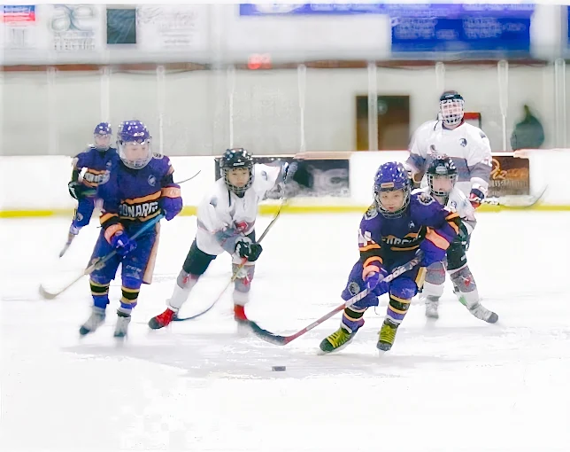 Tri-Town Ice Arena